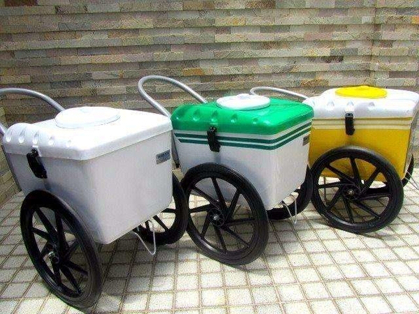 Aluguel de Carrinho de Picolé (com 100 picolés)