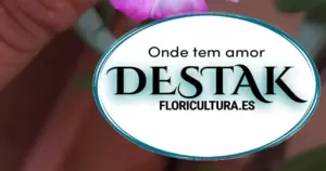 Destak Floricultura